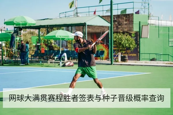 网球大满贯赛程胜者签表与种子晋级概率查询